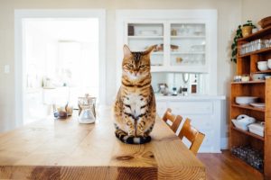 Photo Farmhouse table