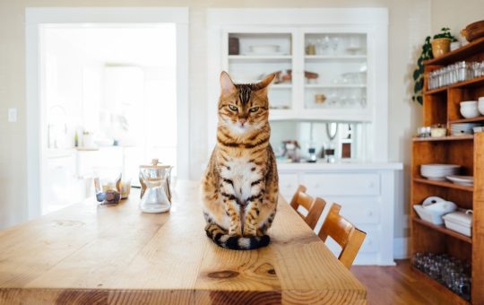 Photo Farmhouse table