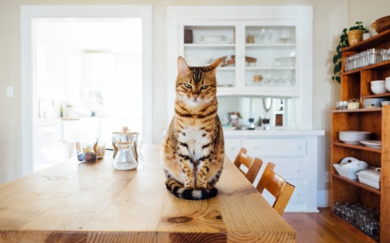 Photo Farmhouse table