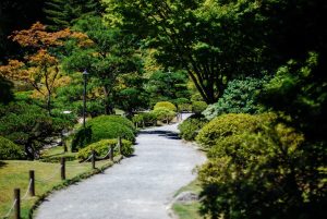 Photo Outdoor garden