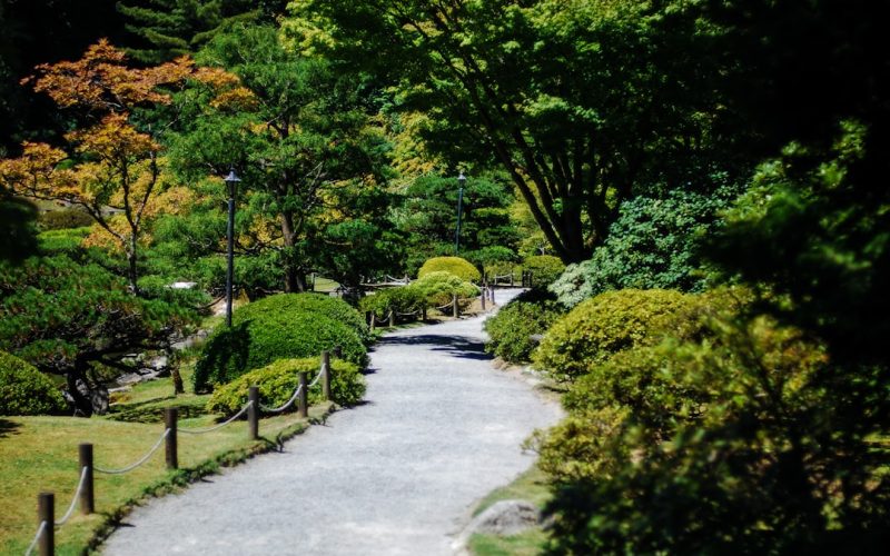 Photo Outdoor garden